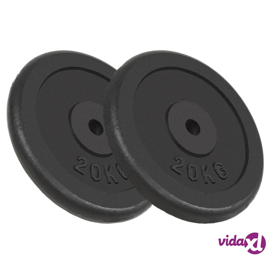 vidaXL Weight Plates 2 pcs 2x20 kg Cast Iron