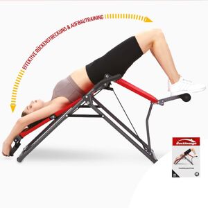 Backlounge 2in1 Inversionstrainer inkl. Trainingsplan GRATIS