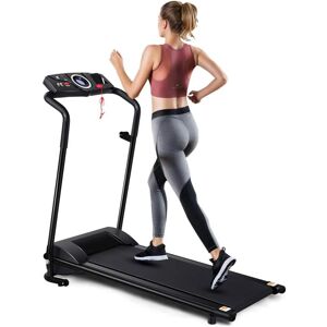 COSTWAY Elektrisches Laufband mit 2 Trainingsmodi & 12 Programme 1-10 km/h lcd Display klappbar und rollbar bis 100 kg belastbar inkl. Sicherheitsschluessel,