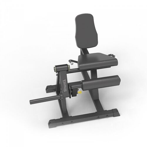 Taurus Beinstrecker IFP   Seated Leg Extension