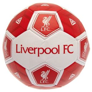Liverpool FC Hexagon fodbold