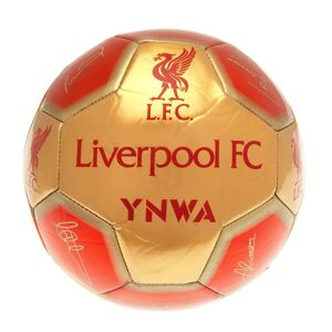 Liverpool FC YNWA Signature Football