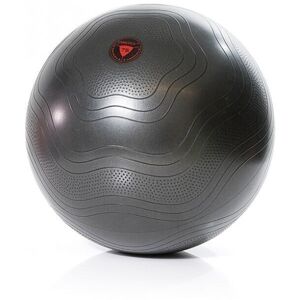 Gymstick Exercise Ball - træningsbold, 55 cm