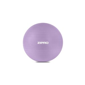 Zipro ZIPRO ZIPRO Anti-Burst træningsbold 65 cm lilla