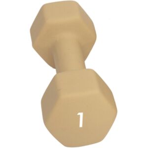 Abilica Hex DumbBell 1 kg