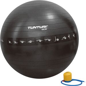 Tunturi Anti Burst Gym Bold - 55 cm