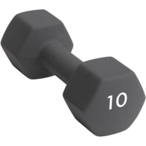 Abilica Hex DumbBell 10 kg