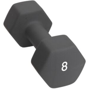 Abilica Hex DumbBell 8 kg