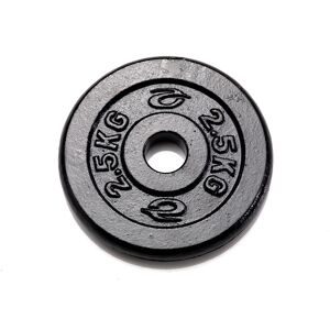 Abilica WeightPlate 1.25 kg 25 mm