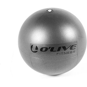 Pelota de pilates softball O'Live 22 cm (Color gris)