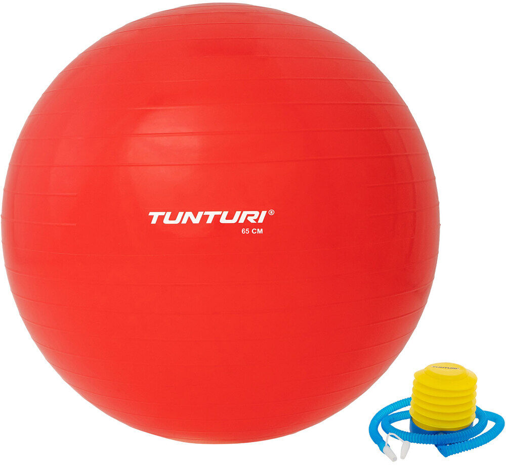 Tunturi inflatable gymball 65 cm varios  (UNICA)