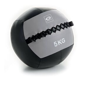 Abilica WallBall, 5kg