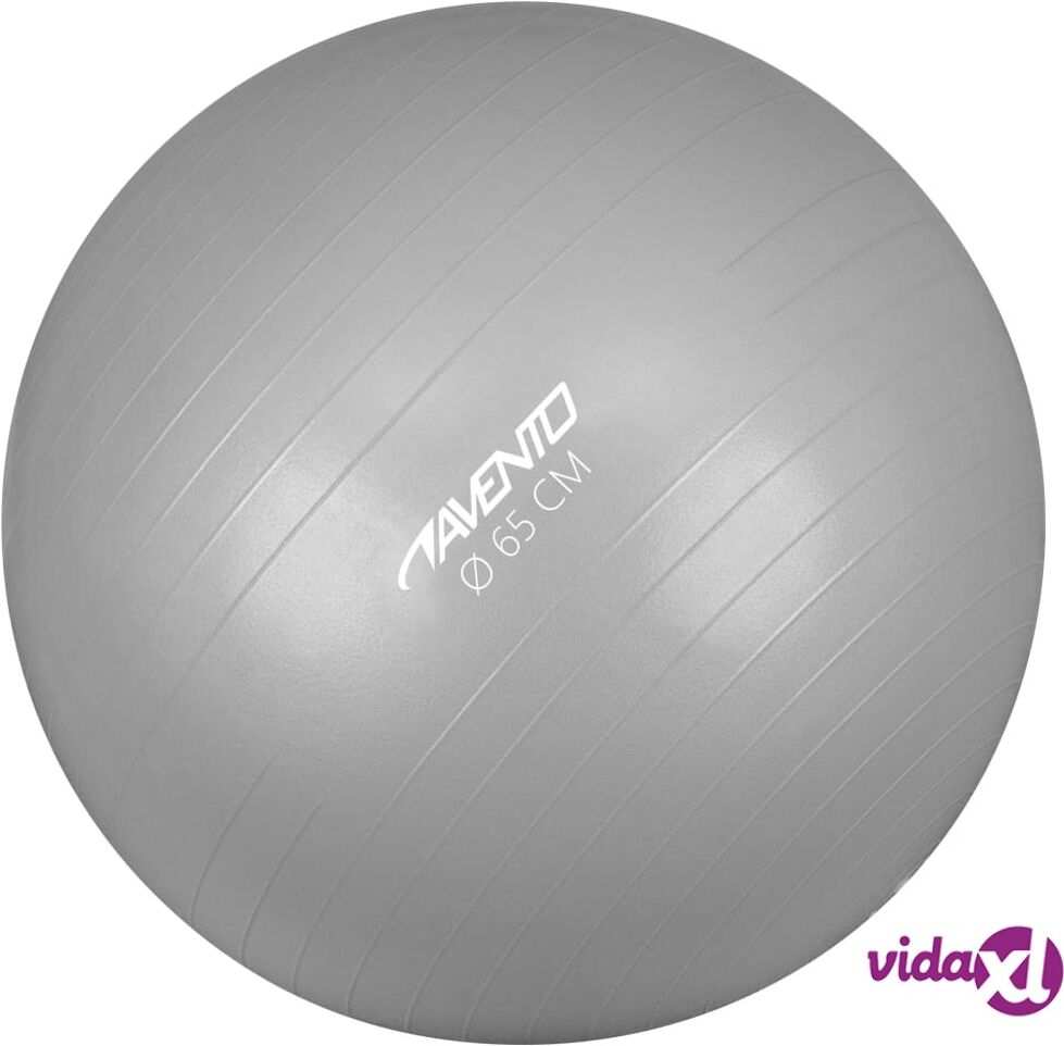 Avento Fitness/jumppapallo halkaisija 65 cm hopea