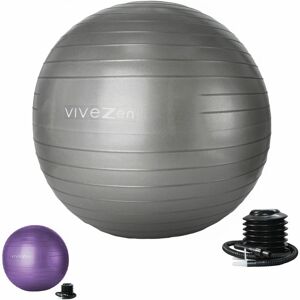 Vivezen - Ballon de yoga, fitness, gymnastique - Diam 75 cm - Gris Gris - Publicité