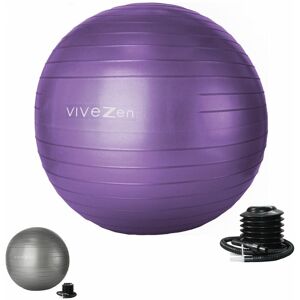 Ballon de yoga, fitness, gymnastique - Diam 75 cm - Violet - Vivezen - Violet - Publicité