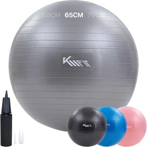 AREBOS KM-Fit Balle de Gymnastique 65cm Balle d'entraînement avec Pompe à air Balle de siège Bureau Anti-Burst Balle pour Fitness, Yoga, Gymnastique, Core Training Gris - Gris - Publicité