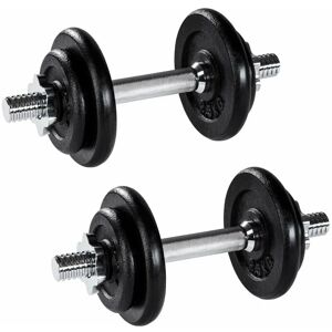 Helloshop26 - Set de 2 haltères de musculation et poids en acier et fonte 2 x 10 kg - Publicité