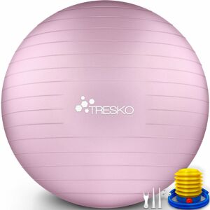 Tresko - Ballon de Gymnastique Anti-éclatement Boule d'assise Balle de Yoga Balles d'exercices Fitness 300 kg avec Pompe à ai (Princess Pink, 55 cm) - Publicité