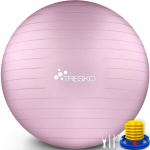 Tresko - Ballon de Gymnastique Anti-éclatement Boule d'assise Balle de Yoga Balles d'exercices Fitness 300 kg avec Pompe à ai (Princess Pink, 85 cm) - Publicité
