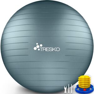 TRESKO® Ballon de Gymnastique Anti-éclatement Boule d'assise Balle de Yoga Balles d'exercices Fitness 300 kg avec Pompe à air (Cool Grey Blue, 65 cm) - Publicité