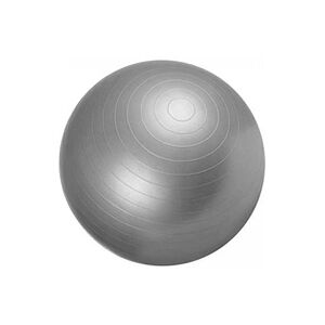 Gorilla Sport Swiss ball - Ballon de gym 65cm Gris - Publicité