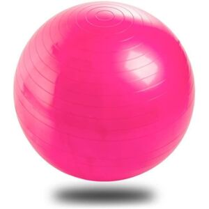 Ballon De Gymnastique Ballon Fitness Yoga Balle D¿Exercice Antidérapant Balle Gymnastique Avec Pompe, 65cm, Rose - Publicité