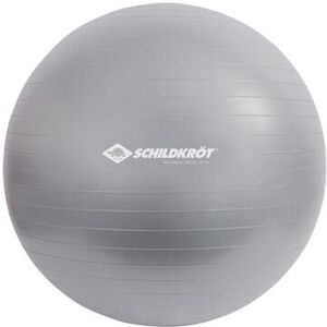 Accessoire De Cardio-Training Schildkrot Gymnastikball 65 Cm Gris - Publicité