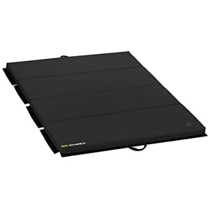 GR Gymrex Gymrex  Matelas De Gym Tapis Pour Exercices Au Sol Fitness Entrainement (Dimensions : 200 x 120 x 5 cm, Rembourrage : mousse (EPE), Rev?tement : cuir synthétique (PU)) - Publicité