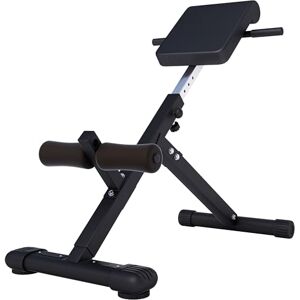 Gorilla SPORTS® Banc de Musculation pour Dos Pliable, Réglable, Antidérapants, Charge Max. 120 kg, Noir/Blanc Banc Abdominaux, Banc Romain, Hyperextension, Gym, Musculation, Entraînement, Fitness - Publicité