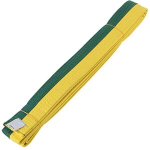 Mentin Ceinture de Taekwondo Professionnelle Ceinture de Karaté Judo Judo Double Wrap Arts Martiaux 1.8m/2.8m (C, 2.8) - Publicité