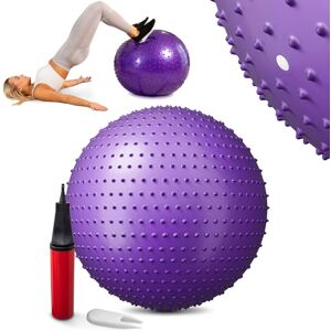 HS HOP-SPORT Hop-Sport Ballon Fitness 65 cm, Ballon de Gymnastique avec Pompe Incluse, Ballon d’Exercices  Robuste et antidérapant pour Gymnastique, Fitness et Yoga, Violet - Publicité