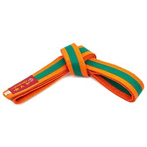 Hayashi  Ceinture d'arts Martiaux Mixte-Adulte, Orange-Vert, 220 Zentimeter - Publicité