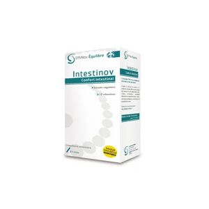 EffiNov Équilibre Intestinov Confort Intestinal 21uts