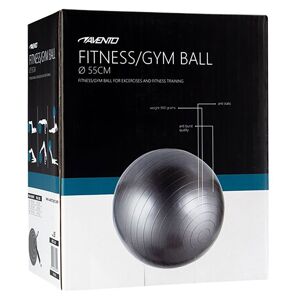 Gymnastics Fitball Argenté 75 cm