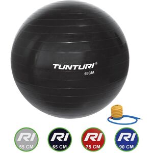 Tunturi Gym Ball Fitball Noir 75 cm - Publicité