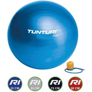 Tunturi Gym Ball Fitball Bleu 75 cm