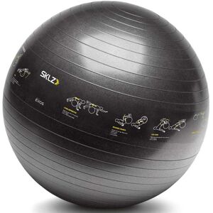 Sklz Medicine Ball 3.62kg Noir 3.62 kg - Publicité