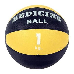 MVS IN MOTION Médecine Ball ballon lesté