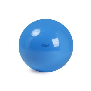 Chinesport Pallone Physio Gymnic Cm 95 - Colore Blu