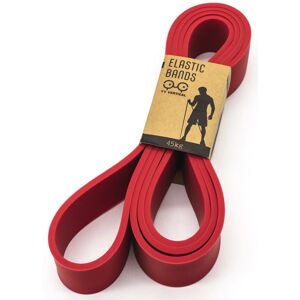 yy vertical Elastic Bands 45KG - elastico Red