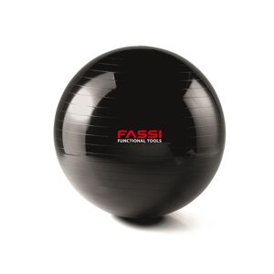 Gym Ball  65 Cm Fassi