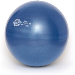 Sissel Fitball Palla Pilates e Fitness Palla da ginnastica Blu Ø 55 cm.