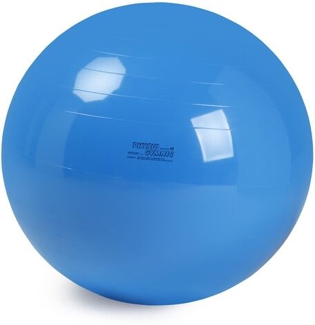 Chinesport Pallone Physio Gymnic Cm 95 - Colore Blu