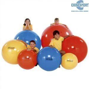 Chinesport Physio Gymnic Cm 85 Colore Rosso