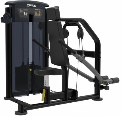 Taurus Tricep Dip Press IT95