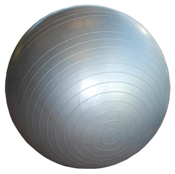 Sportsmaster Gymball 65cm M/pumpe