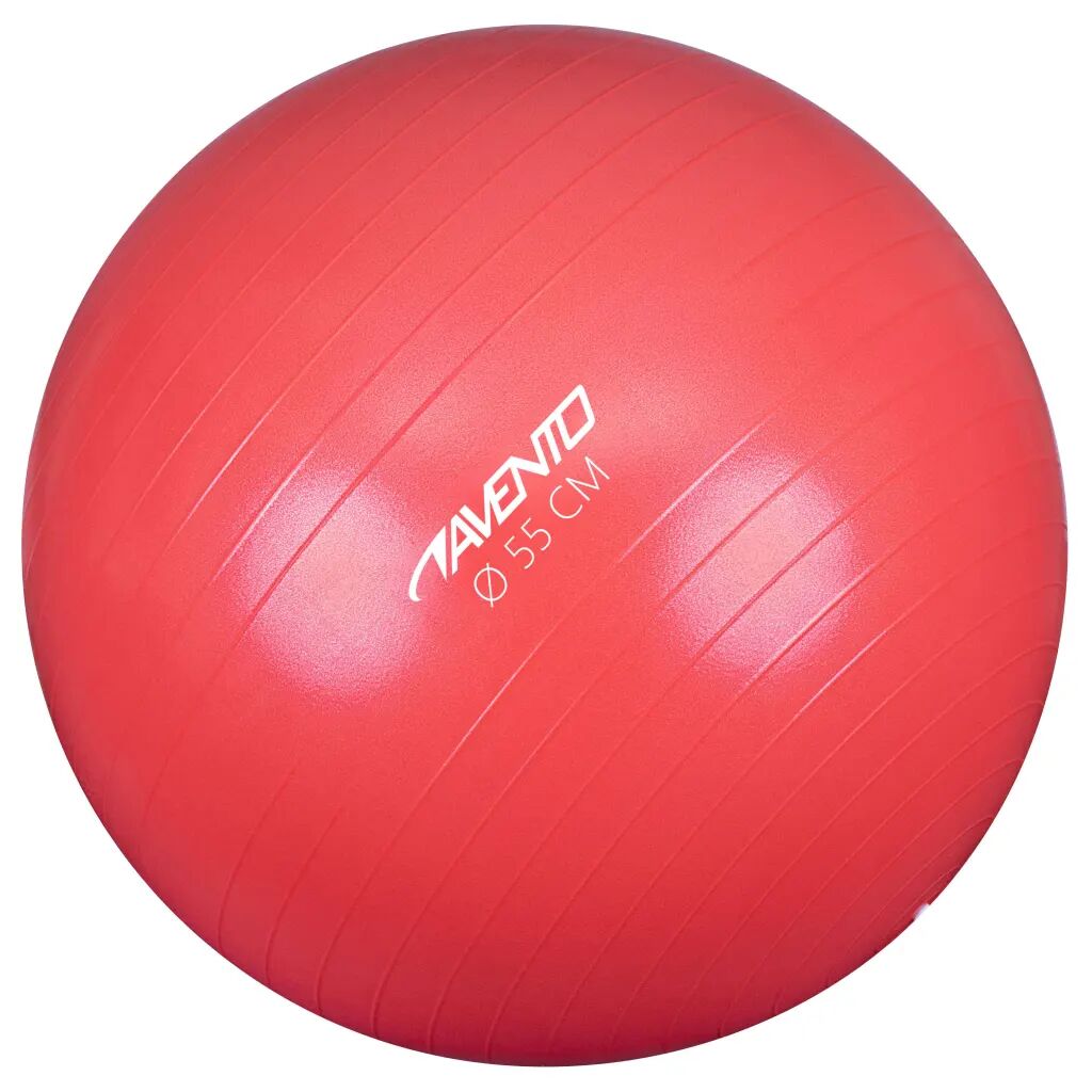 Avento Fitnessball diameter 55 cm rosa