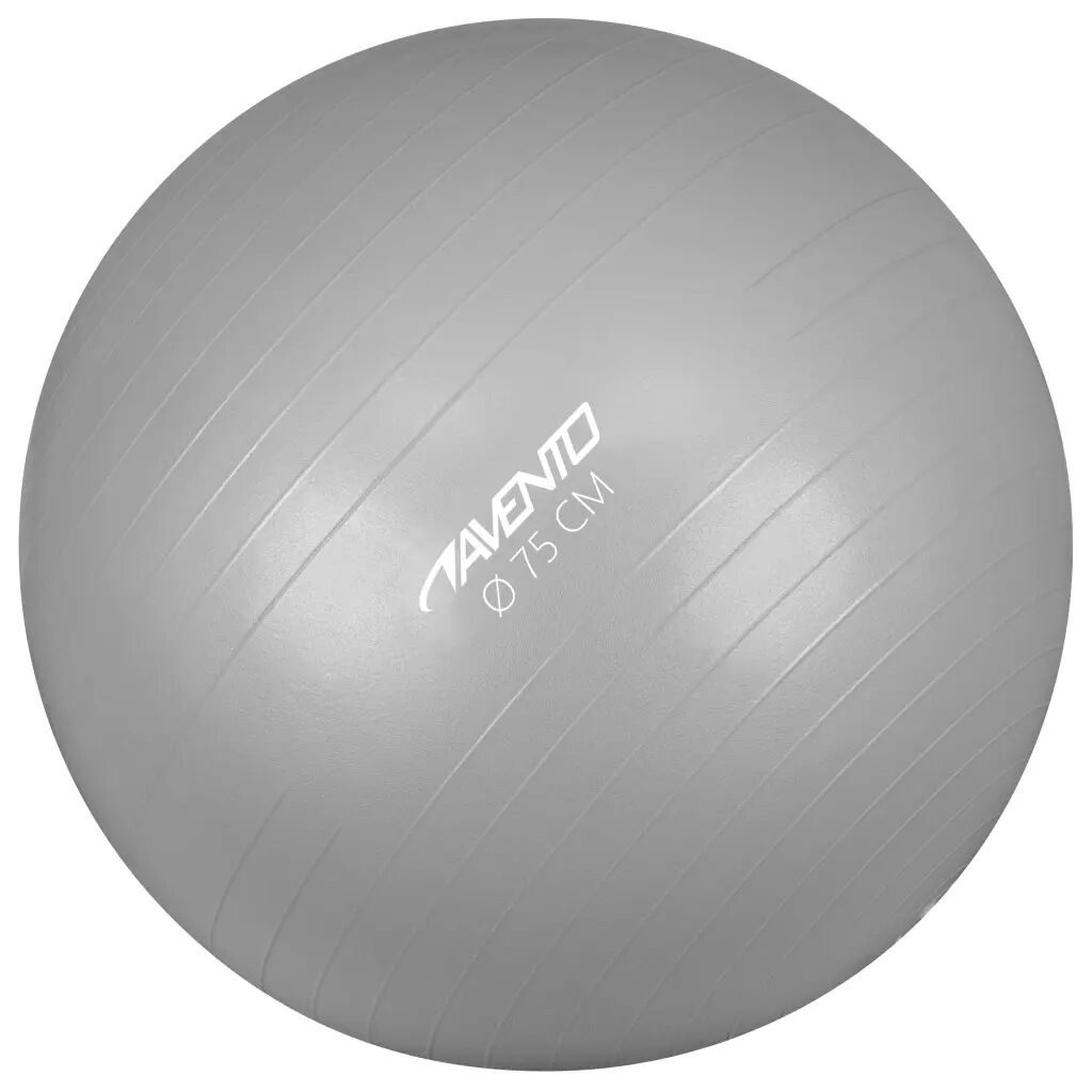 Avento Fitnessball diameter 75 cm sølv