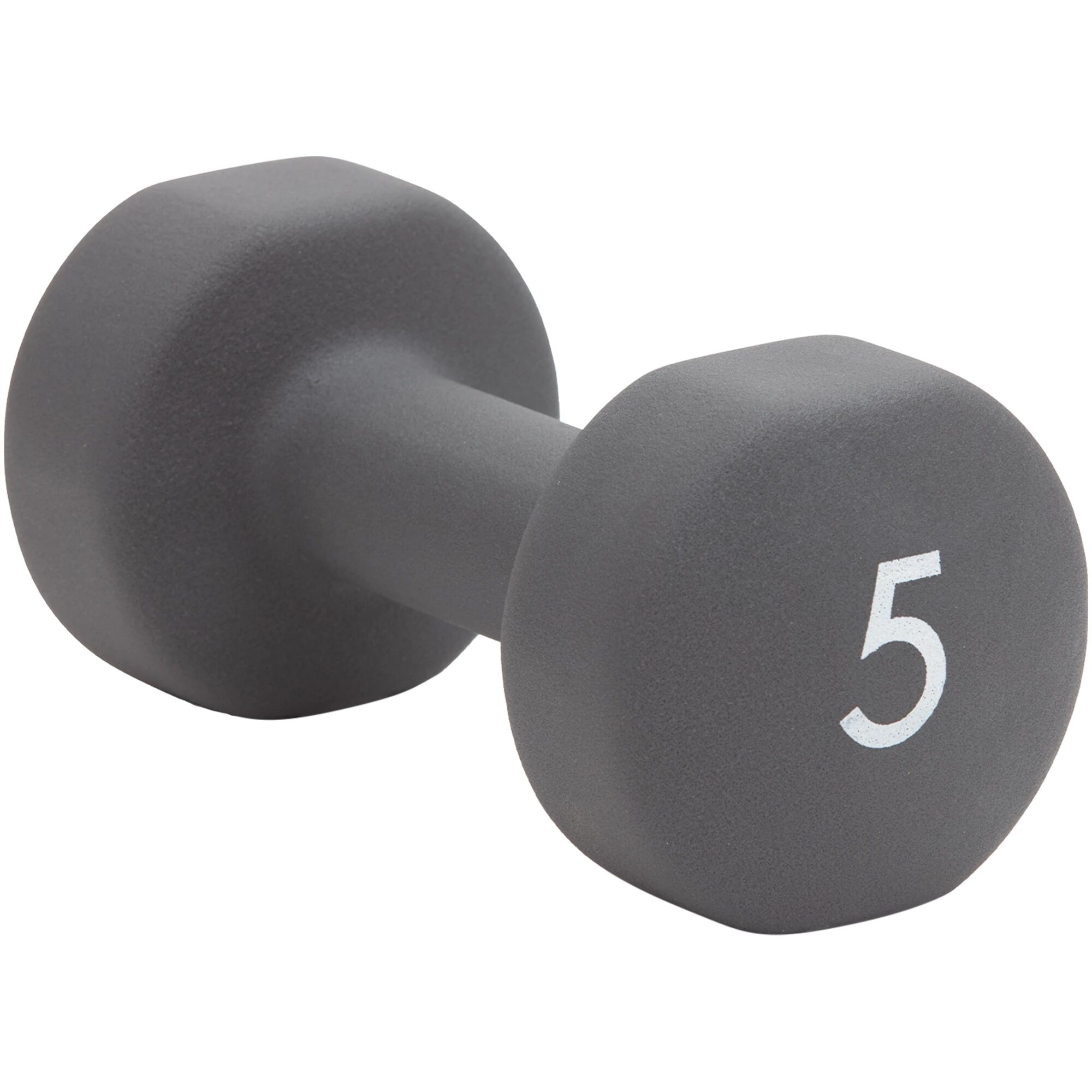 Abilica Dumbbell 5 Kg, dumbbell 5kg Grey