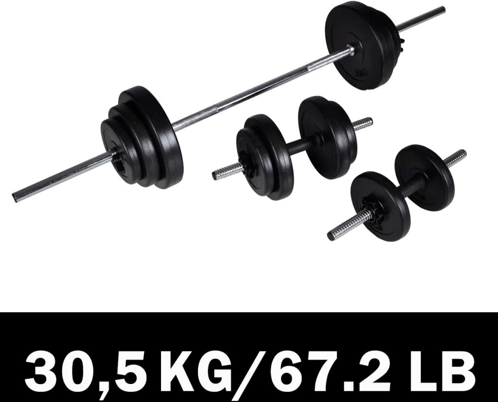 vidaXL Conjunto de barras e halteres 30,5 kg